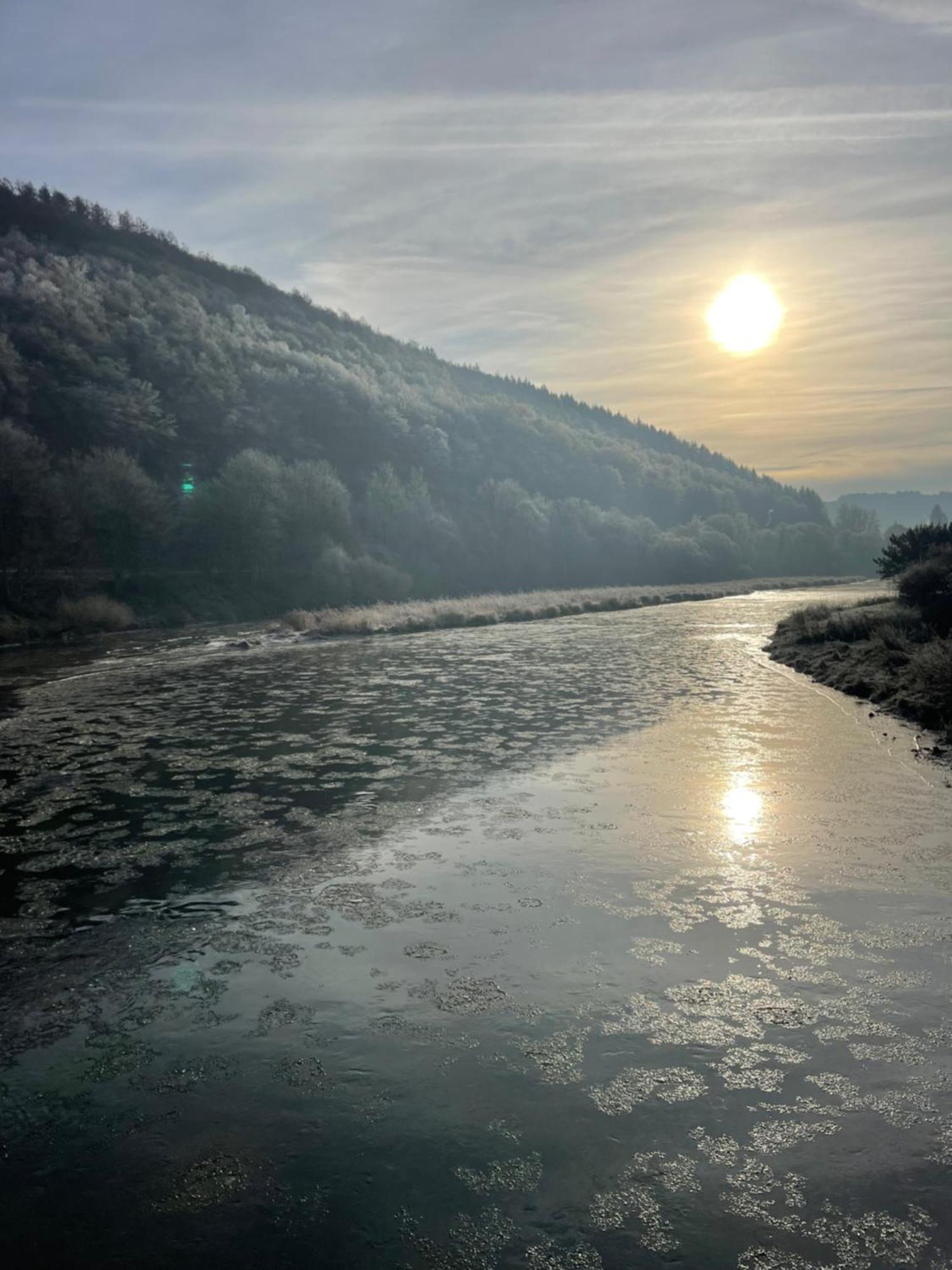 La Petite Passerelle A Mouzaive Vresse-sur-Semois Εξωτερικό φωτογραφία